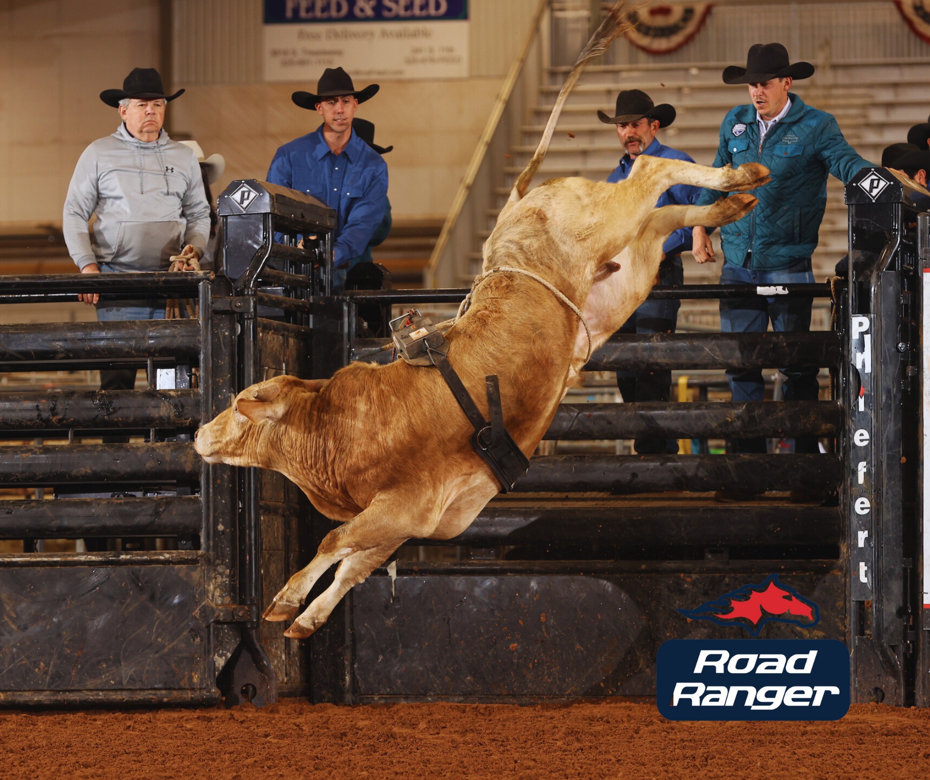 American Bucking Bull Inc. - Congratulations to the two bulls who each ...