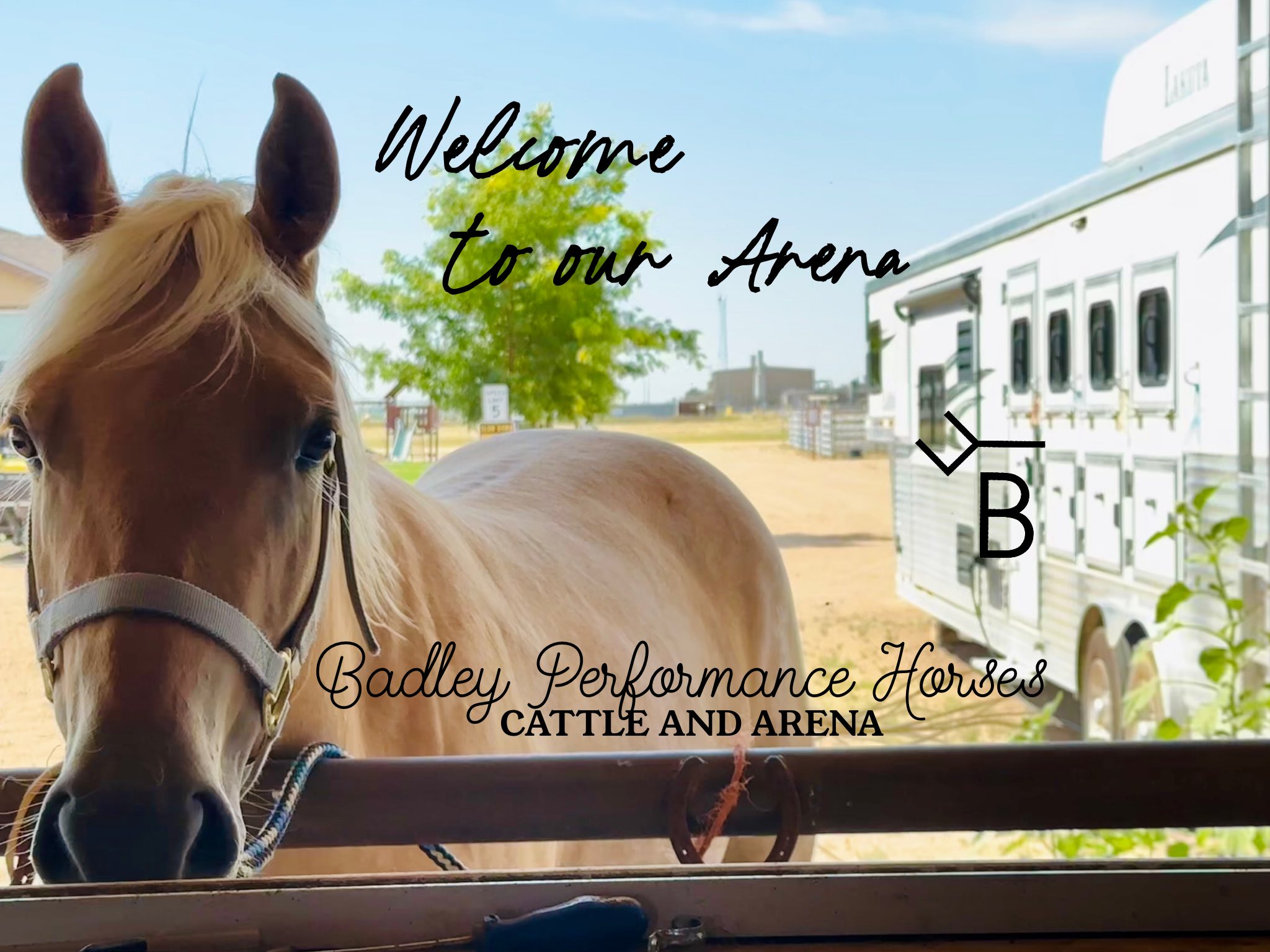 Running a Fall... - Badley Performance Horses, Cattle & Arena | Facebook
