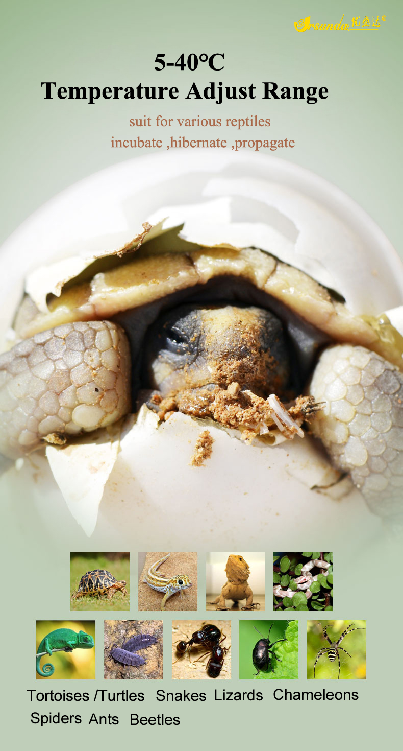 Visual Reference: Professional Reptiles Incubator