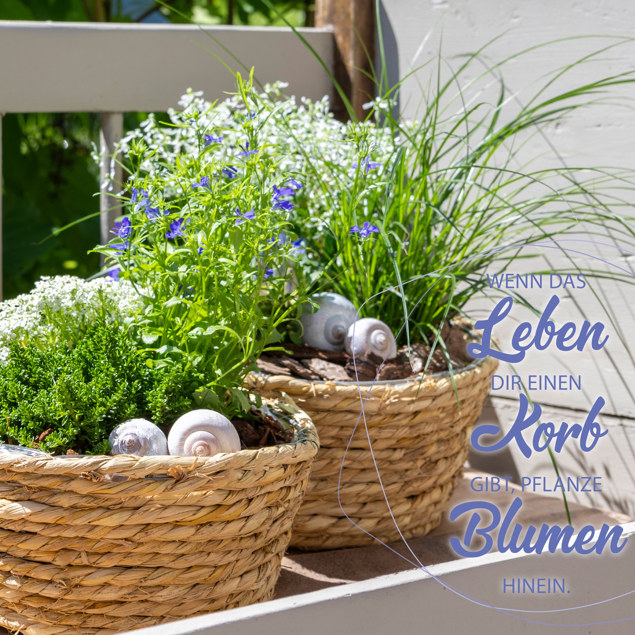 Wenn das Leben dir einen Korb gibt, pflanze Blumen hinein. #hessfloristik #hessbildkalender2025 #inspirationfürjedenmonat #floristenbedarf