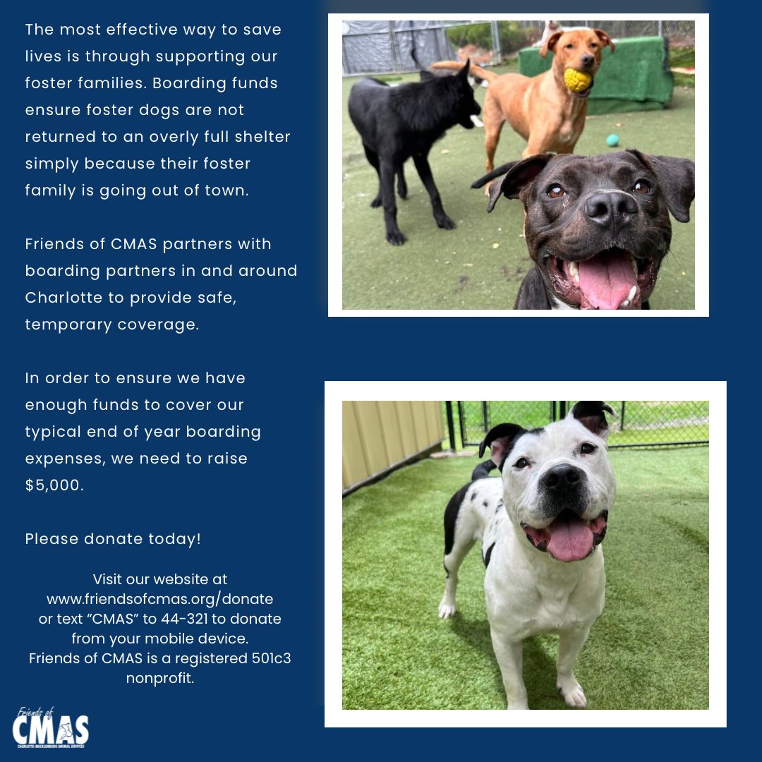 Friends of Charlotte-Mecklenburg Animal Services | Charlotte NC