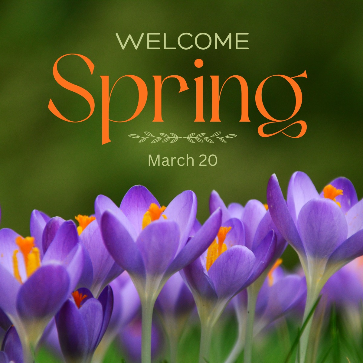 Anthony - Today marks the first day of Spring. Hopefully winter is ...