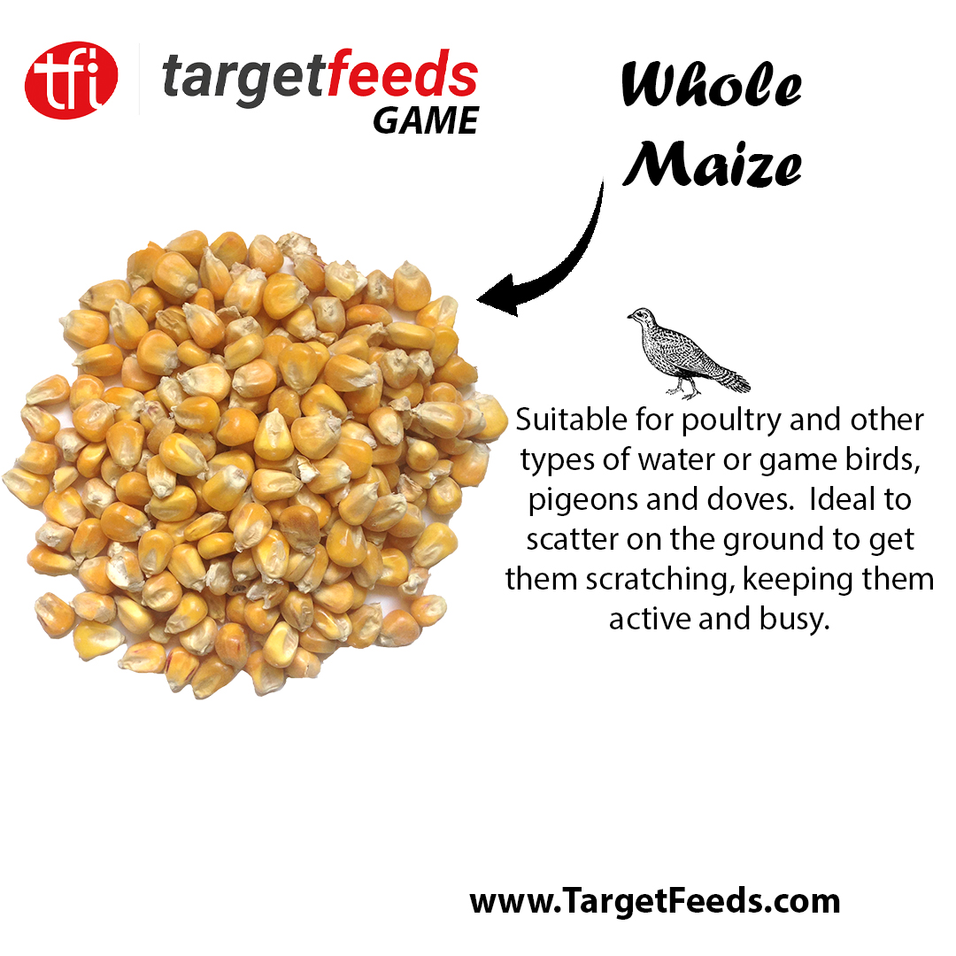 🌾🦜 Enhance Your Game Birds with Target... - Target Feeds Ltd | Facebook