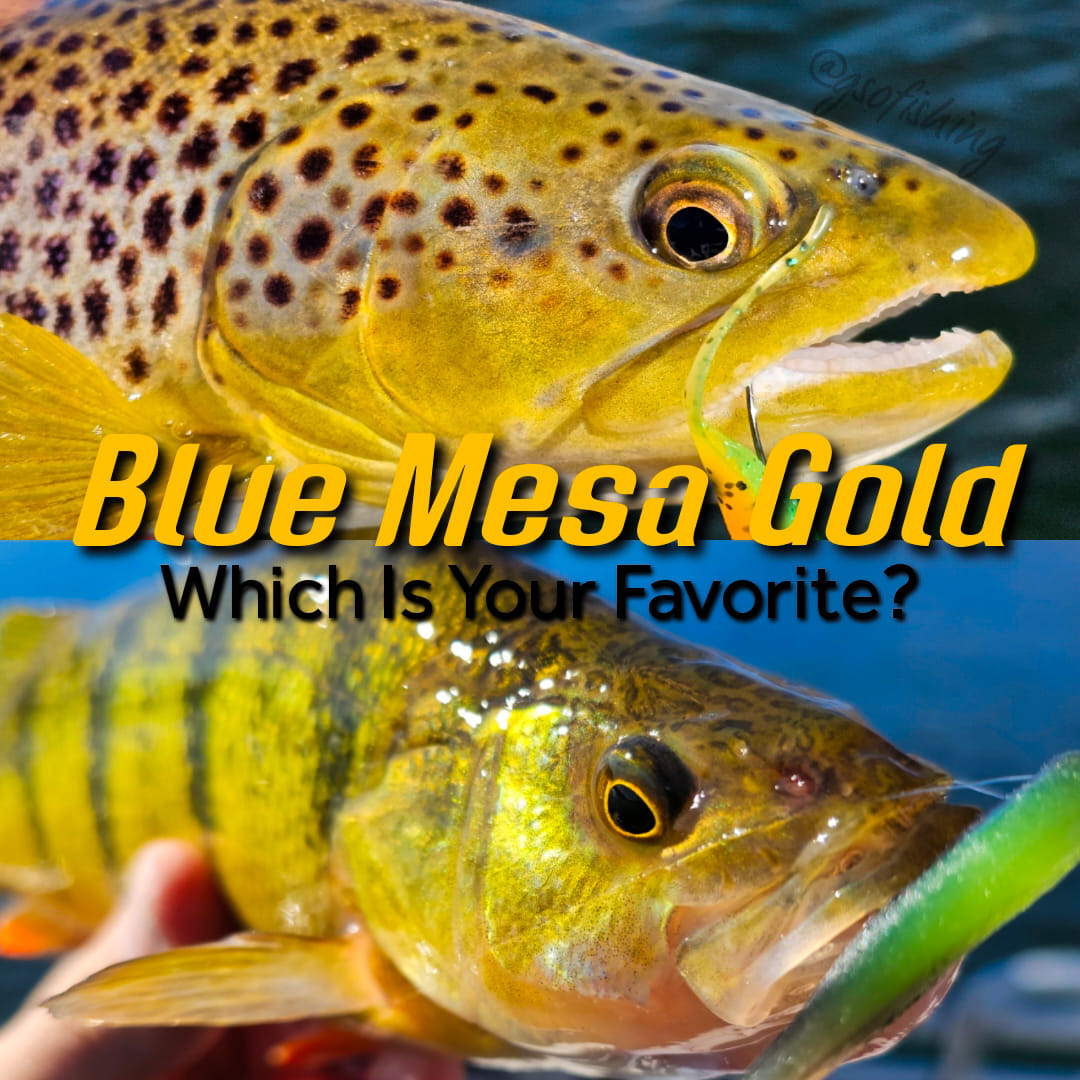 factory reconditioned shimano reels Stradic FM Spinning Reel NOSOCIAL offering you the reliability Color:The Glass Minnow Left Hand 8.1:1