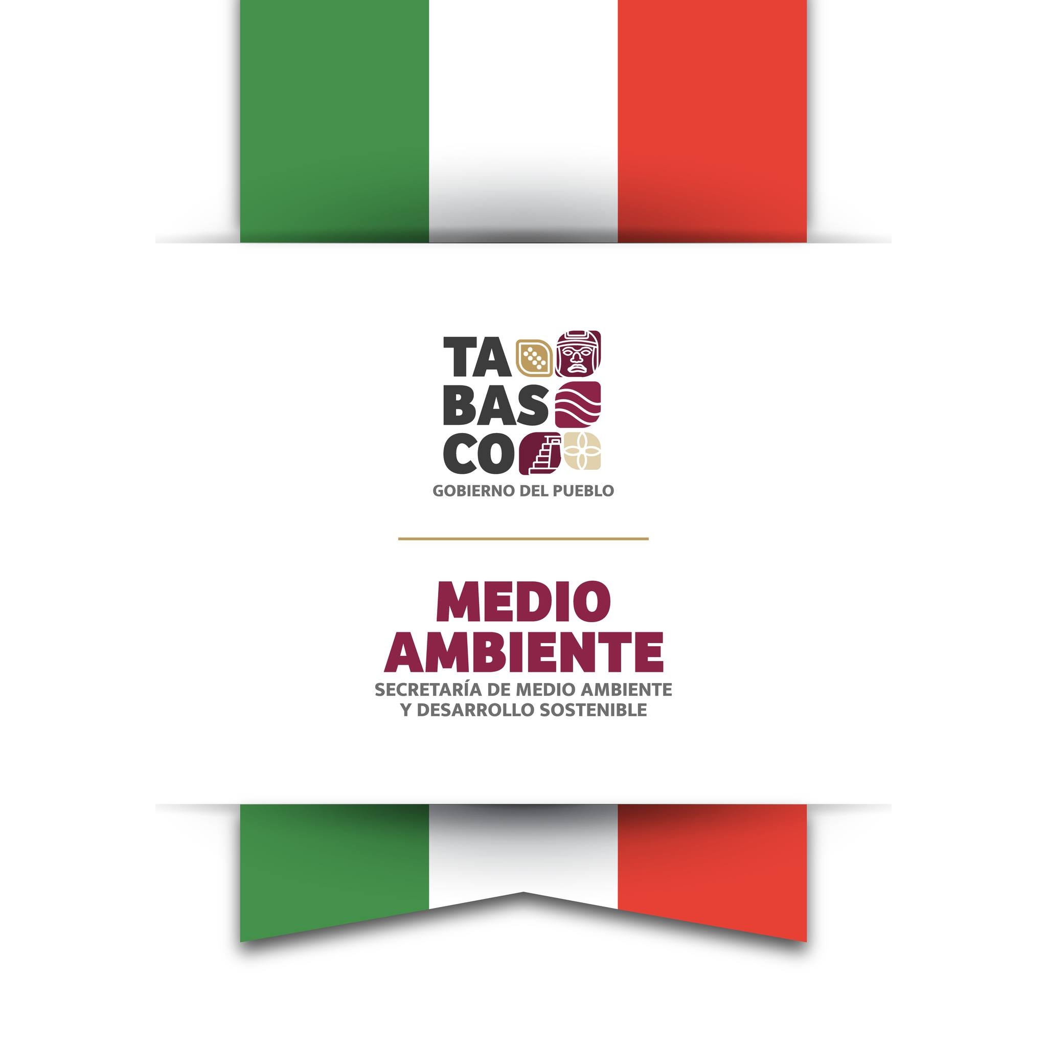 Medio Ambiente y... - Medio Ambiente y Desarrollo Sostenible