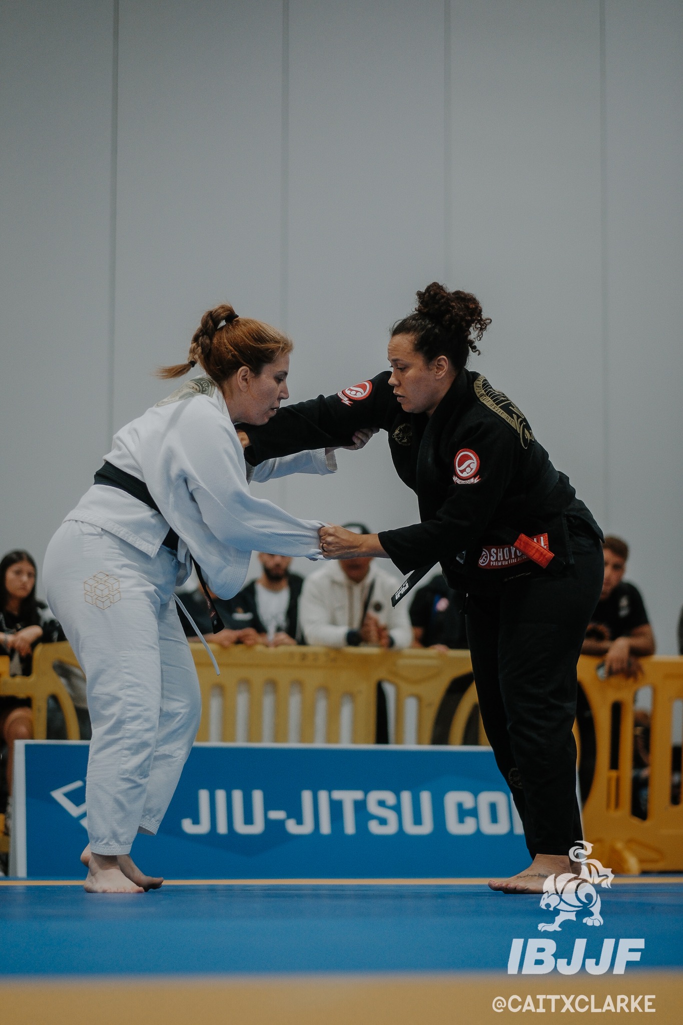 International Brazilian Jiu-Jitsu Federation