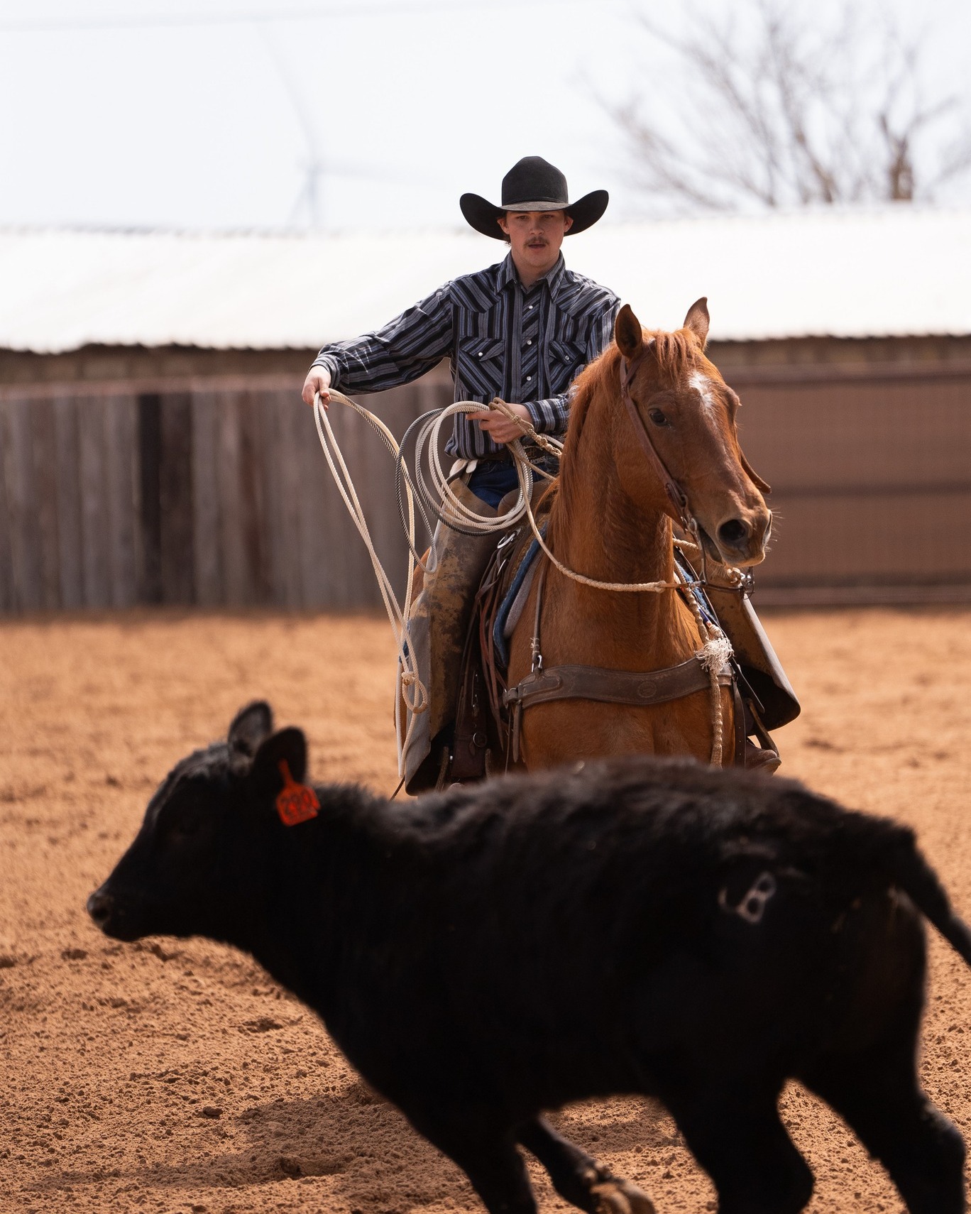 R.A. Brown Ranch added a new photo. - R.A. Brown Ranch
