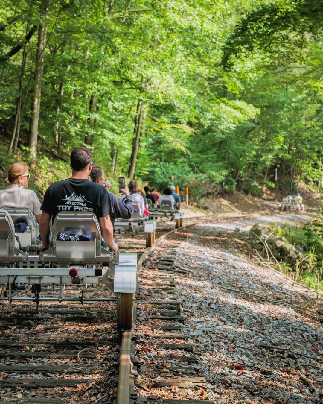Blue Ridge Scenic Railway... - Blue Ridge Scenic Railway