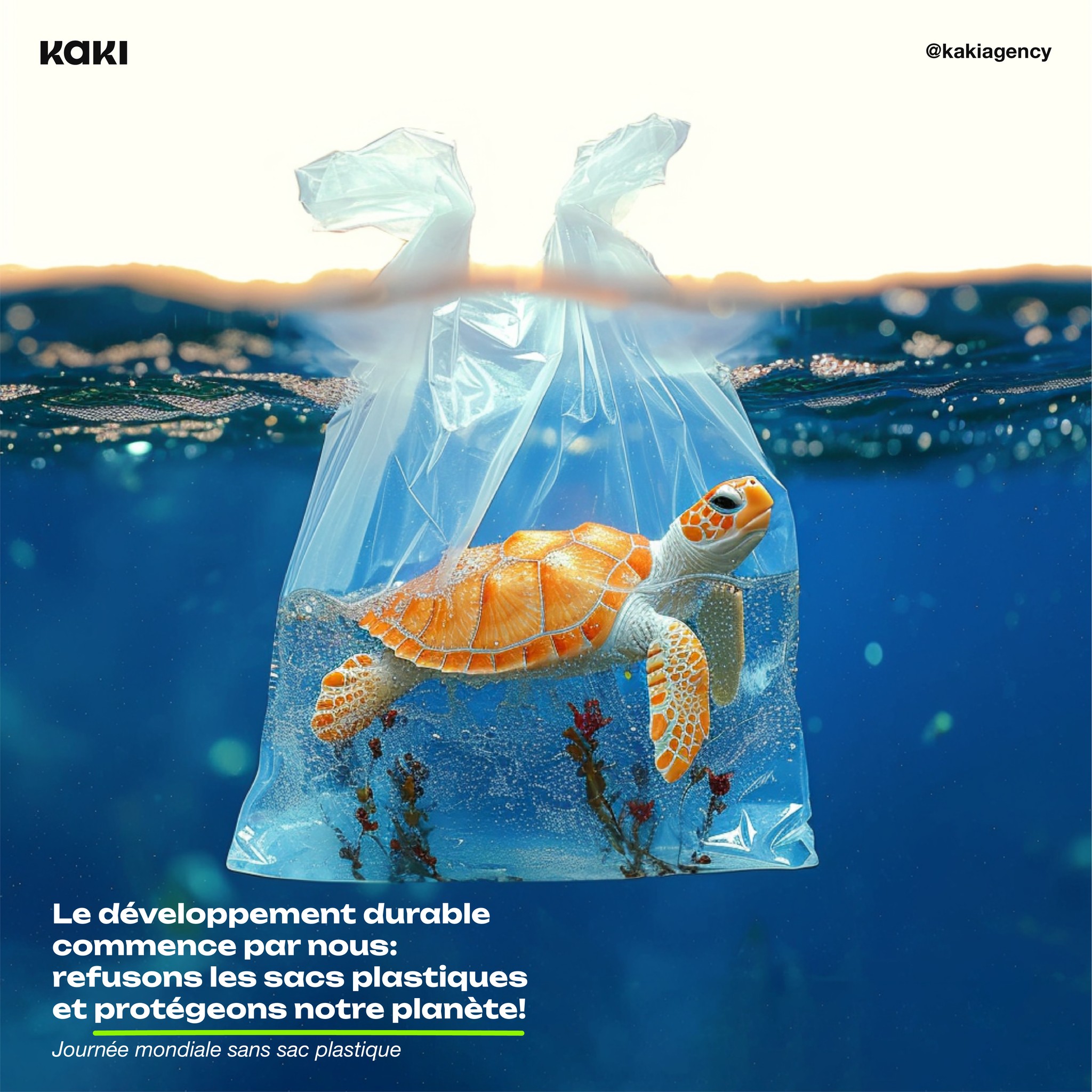Plastique Coloré Amovible 16 Pailles Réutilisables Tortues Ninja - 27,5 Cm - Accessoire Festif Amusant Pour Anniversaire Enfants Pailles Colorées Anniversaire