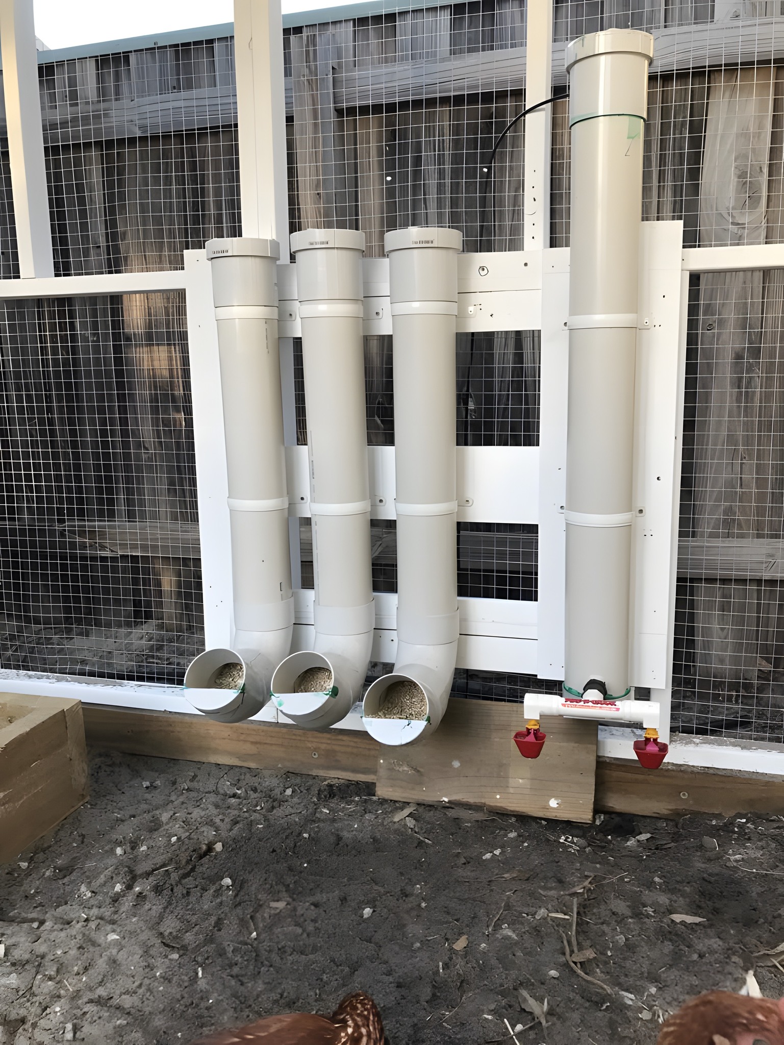 Angelina - Feeders and water constructed with 100 mm pipe. | Facebook