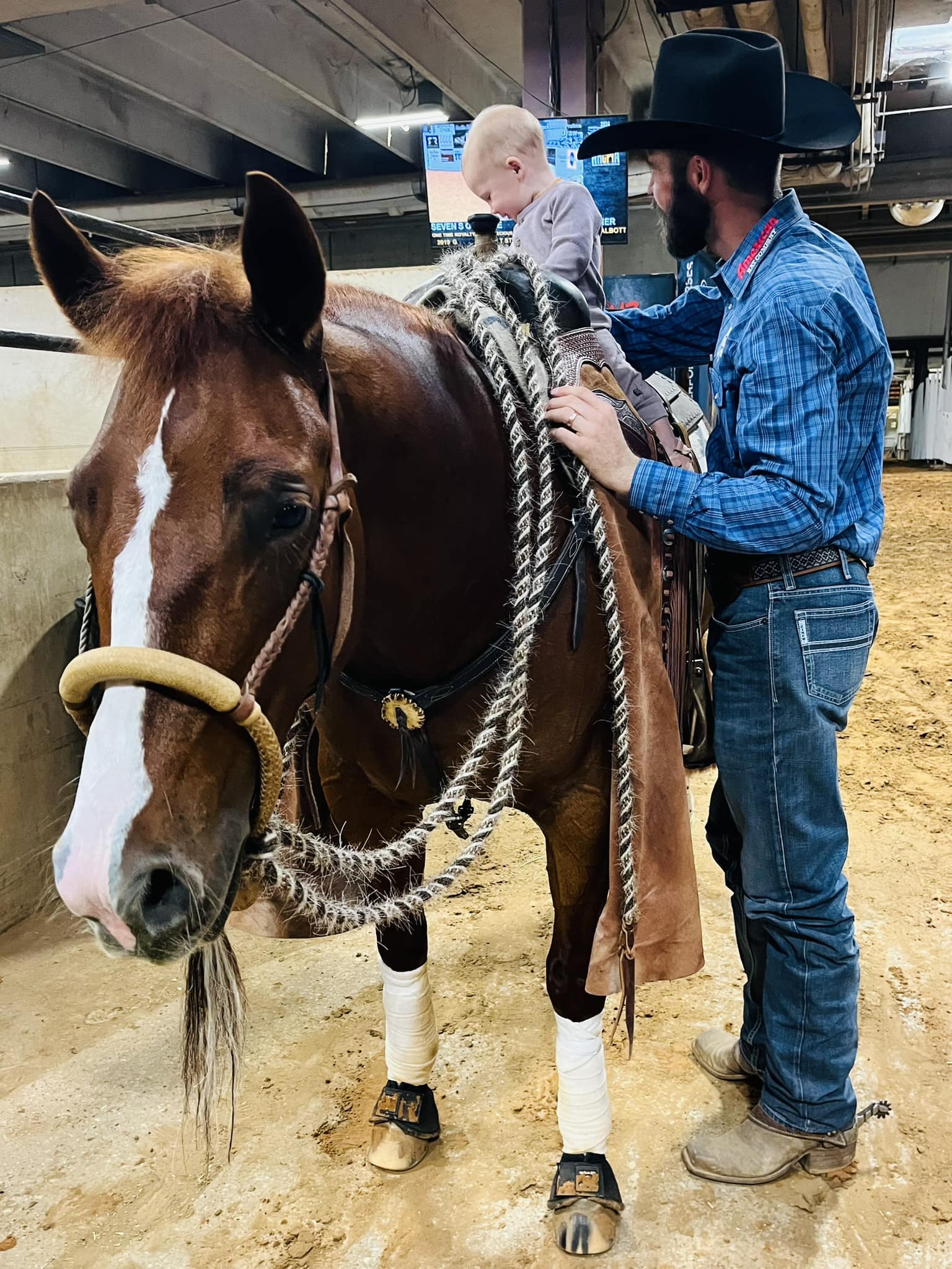 C Anderson Performance Horses