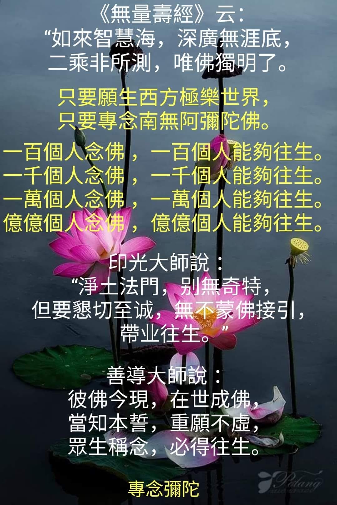 專念彌陀 - 印光大師說：不用三祇修福慧，但憑六字出乾坤。 這是兩句很著名的話。修行要修福、修慧，按照自力修行，需要經過三大阿僧祇劫，所謂 ...