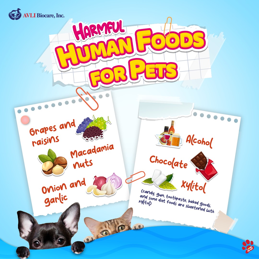 🚨 Pet Poison Prevention Alert! 🚨 Did... - AVLI Biocare, Inc. | Facebook