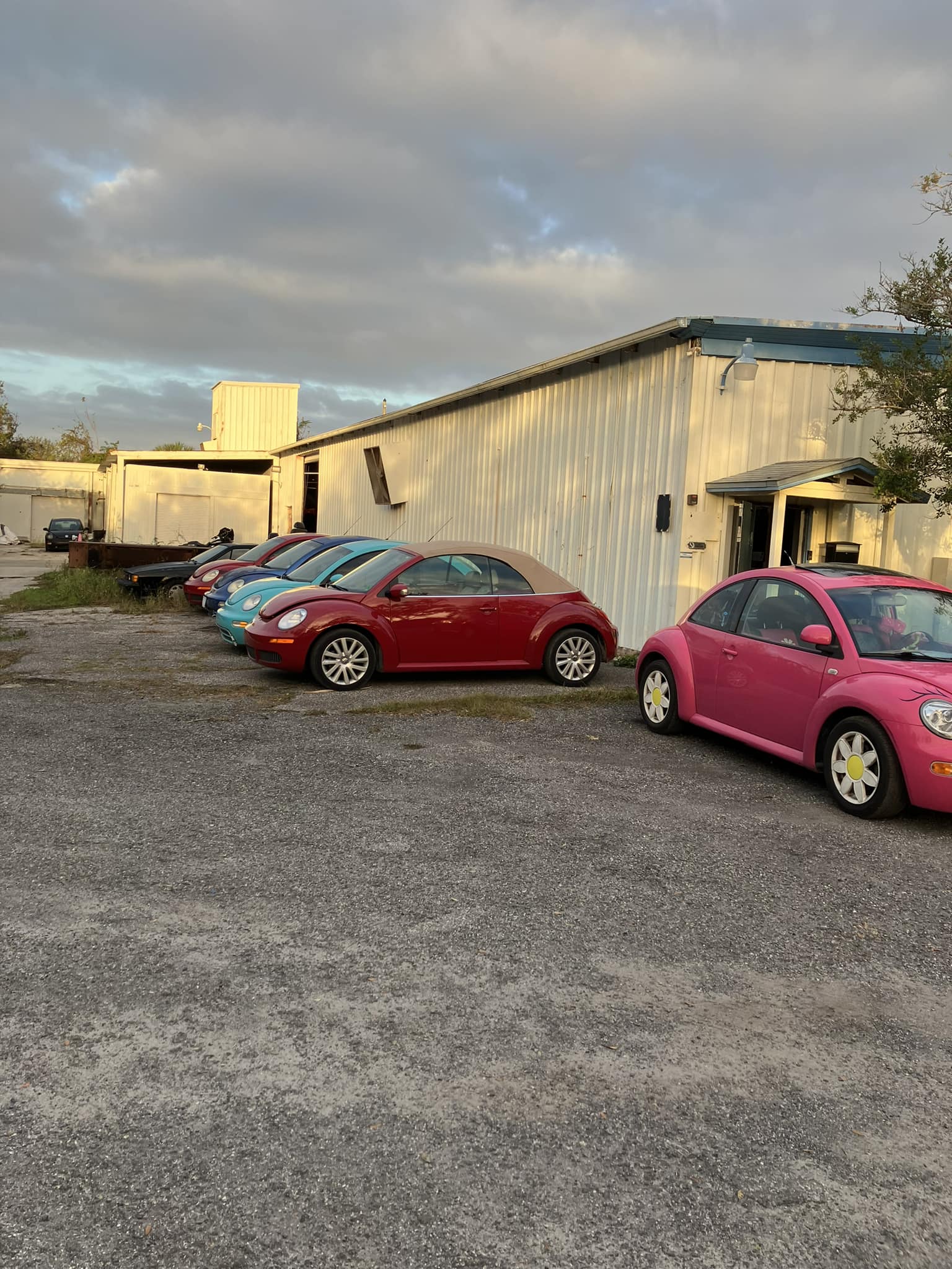 Jason's Bug Ranch | Winter Garden FL