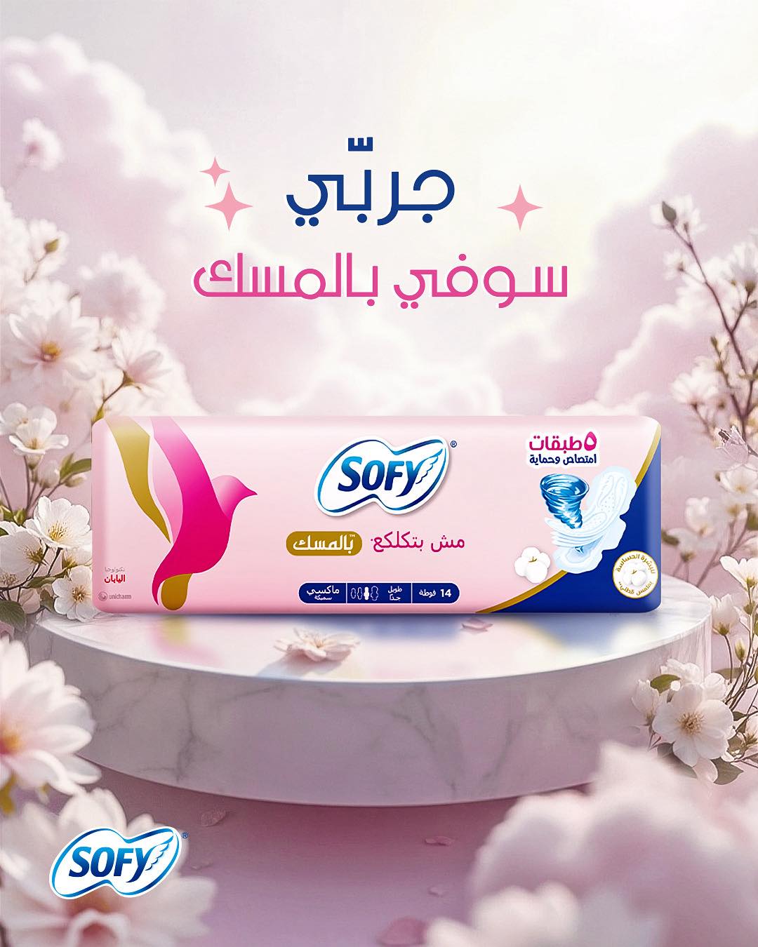 sofy-club