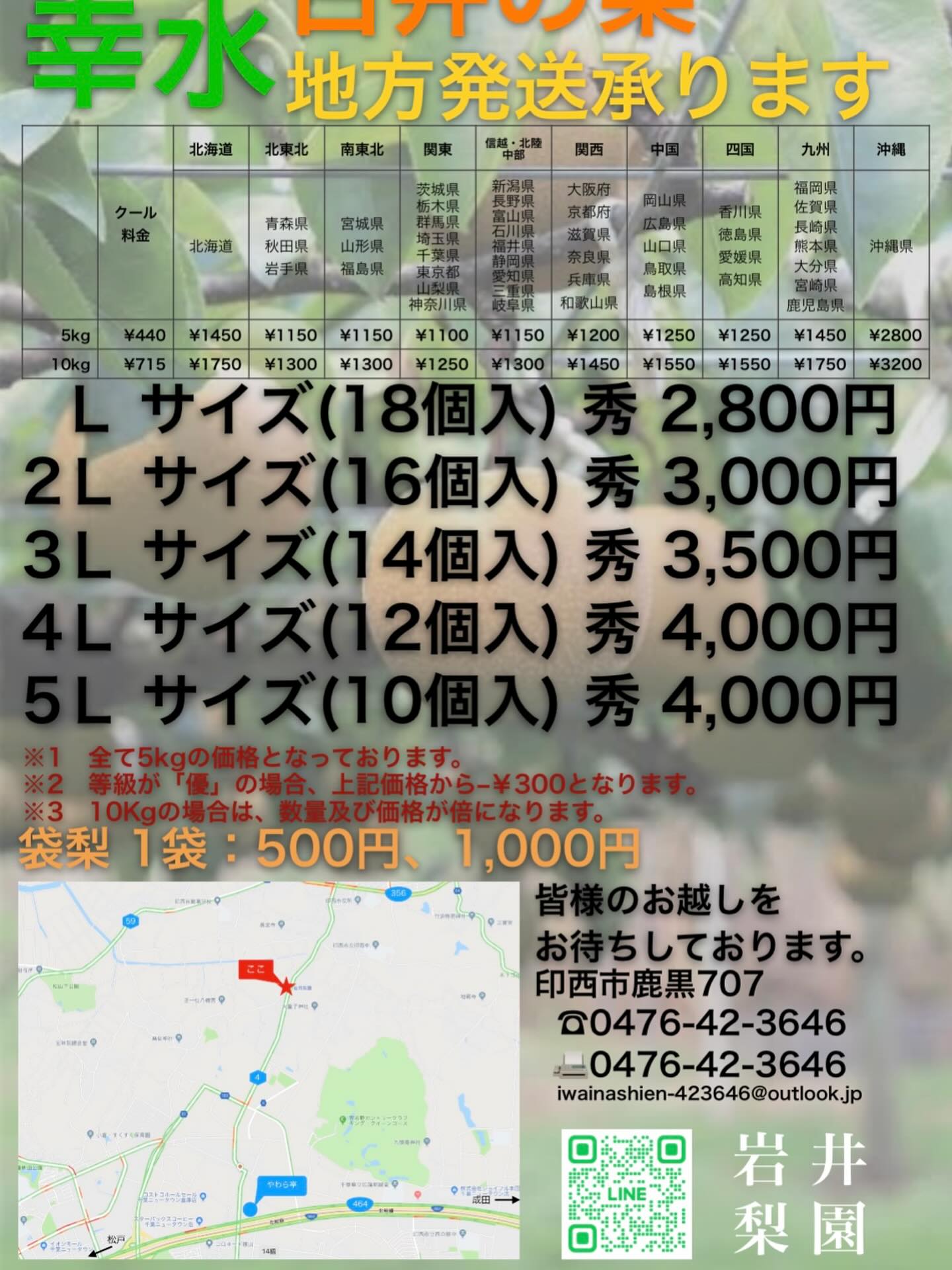 活動歴および当時の関連ビジュアル記録