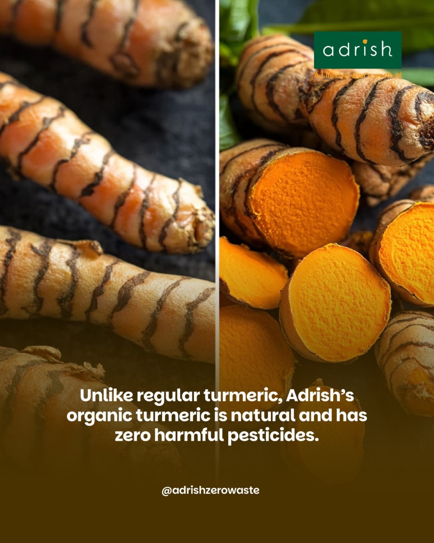 Adrish - Zero-waste Organic Store