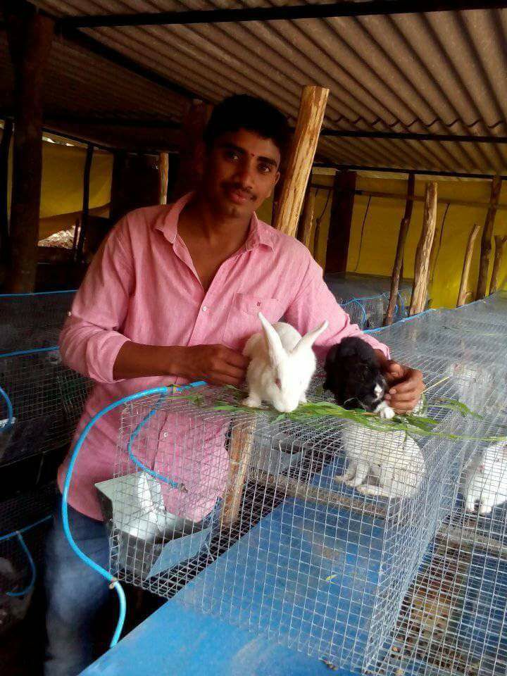 Raj Rabbit farm