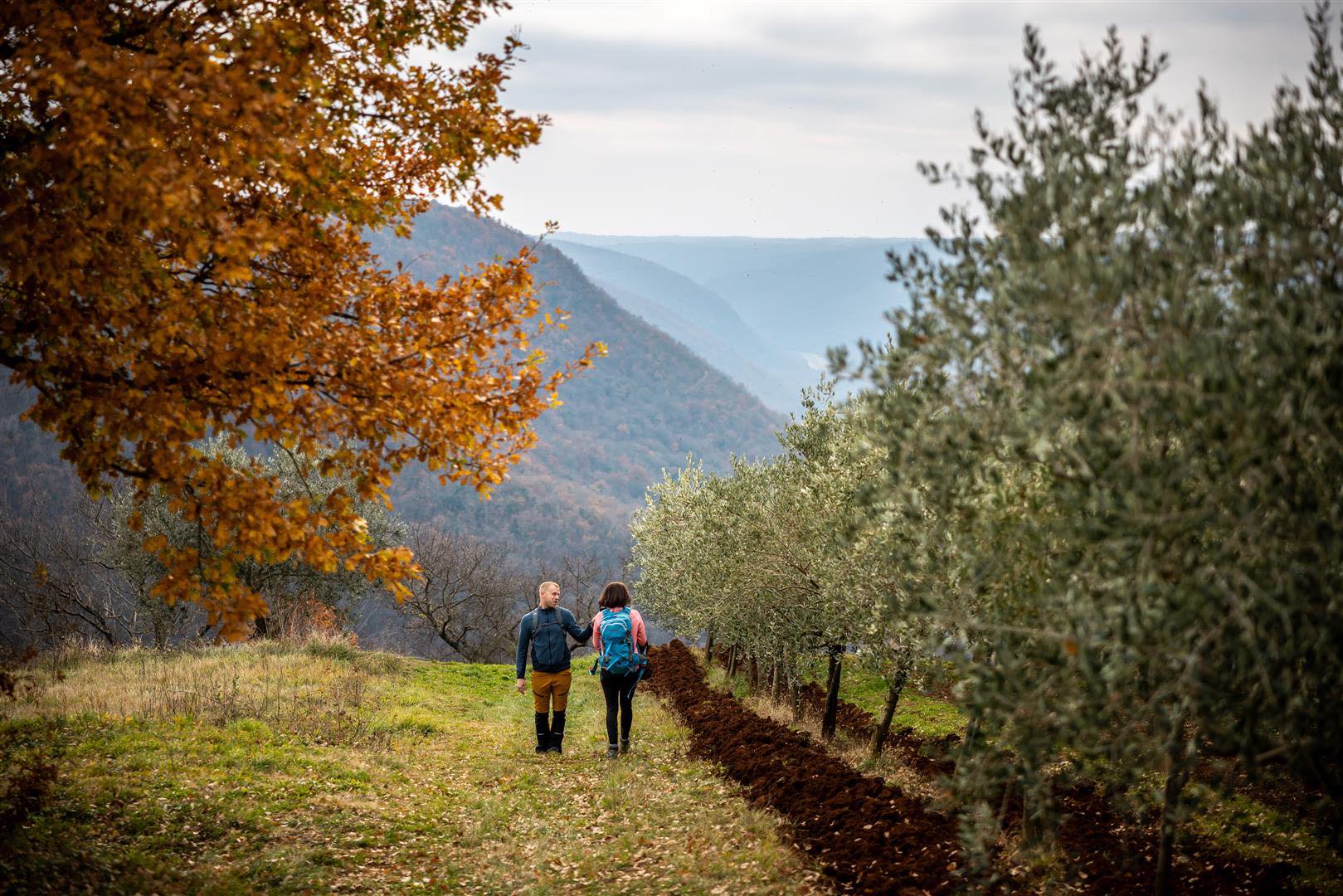 Općina Vižinada -... - Općina Vižinada - Comune di Visinada
