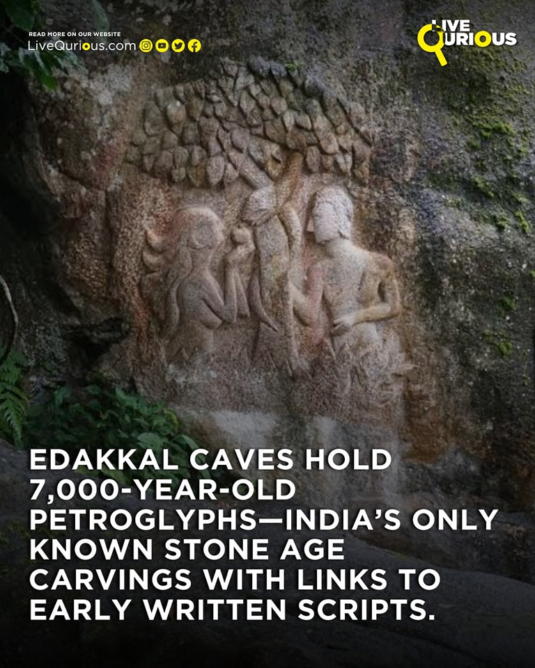 Live - Edakkal Caves – A 7,000-Year-Old Mystery of India's Forgotten ...
