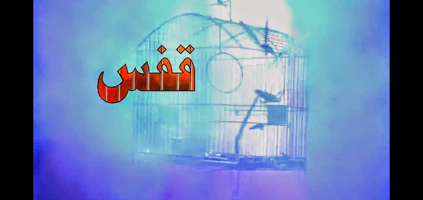 Kamran Rafique