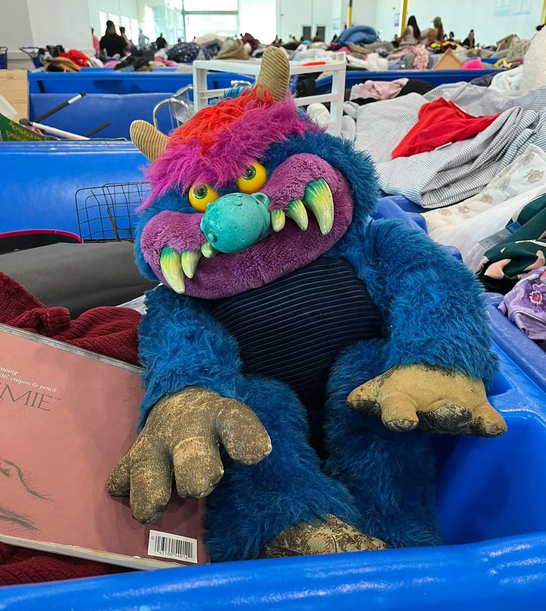 My Pet Monster at the Goodwill bins.