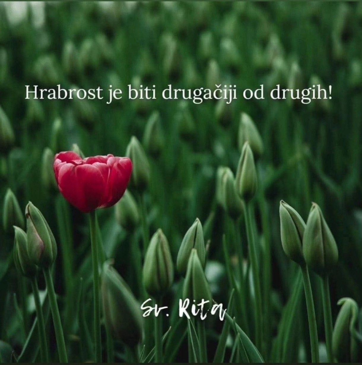 👶 Znamo li kakva imena dajemo svojoj djeci? 🤔 Imena nose značenje ...