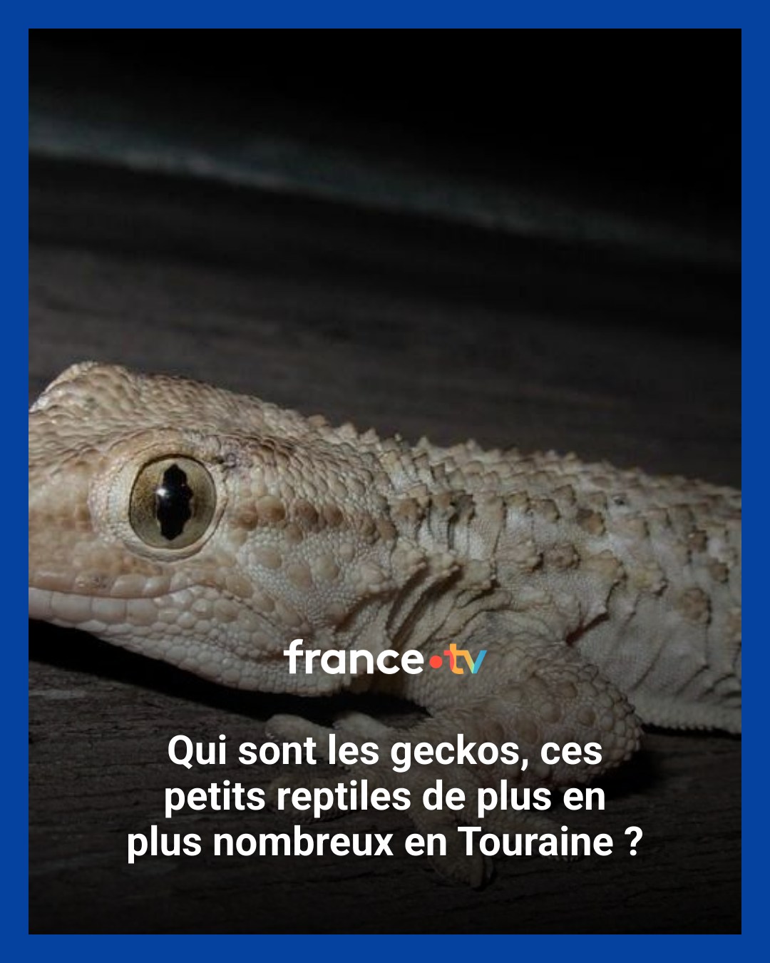 Biodiv'Artannes