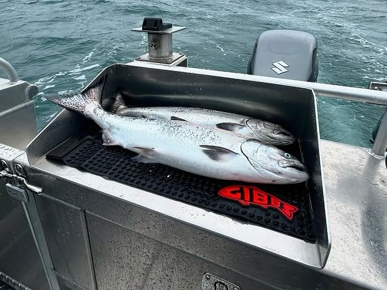 Gibbs - 🔥 SOLD OUT FAST! 🔥 Our new Gibbs Fish Cleaning Mats were a huge ...