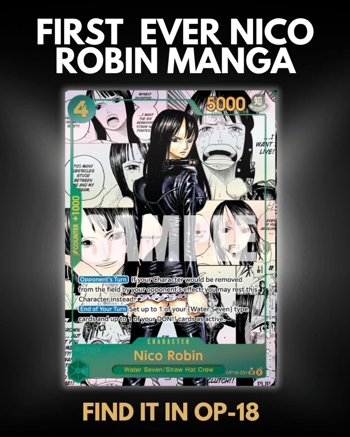 REVEALED! The first Nico Robin Manga has been officially unveiled