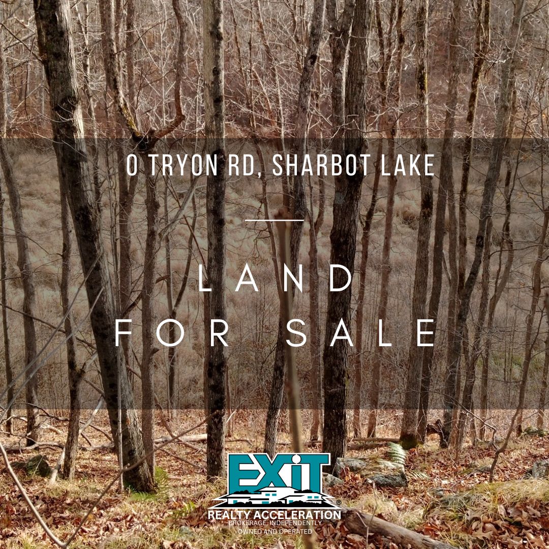 Sephora Thompson - Exit Realty Acceleration | Napanee ON