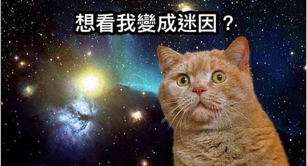 Meme - 照這個速度... #梗圖倉庫 #網友投稿 #系統自動發佈 👉看更多網友創作 https://memes.tw/wtf 👉使用梗圖 ...
