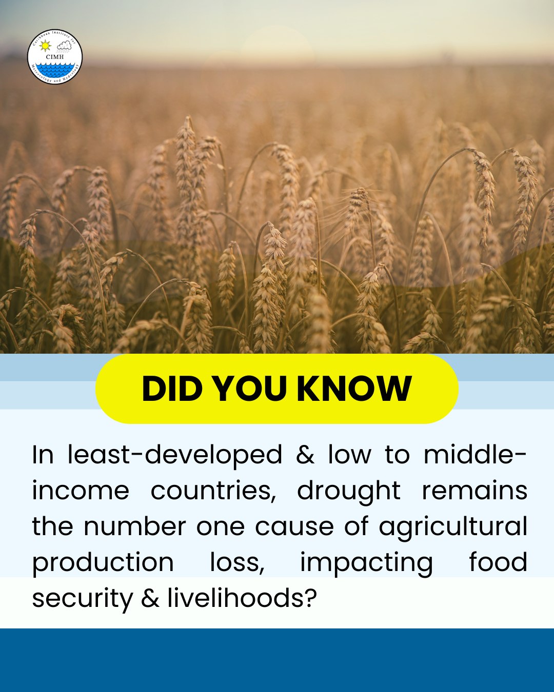 Caribbean - 🌾 DYK agricultural drought occurs when there isn’t enough ...