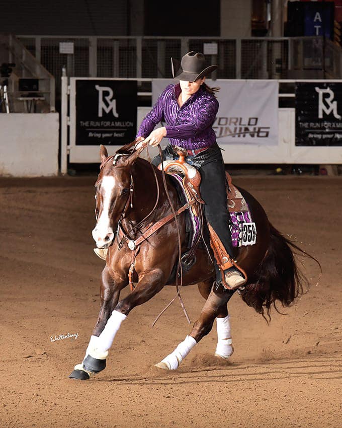 Hobby Horse Clothing Company, Inc.