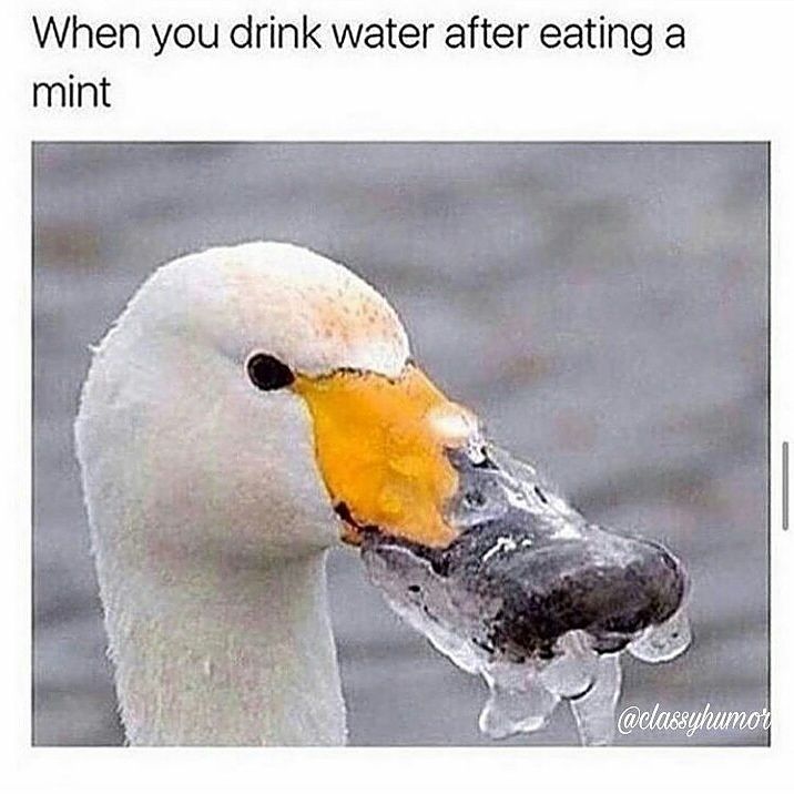 Classy Humor