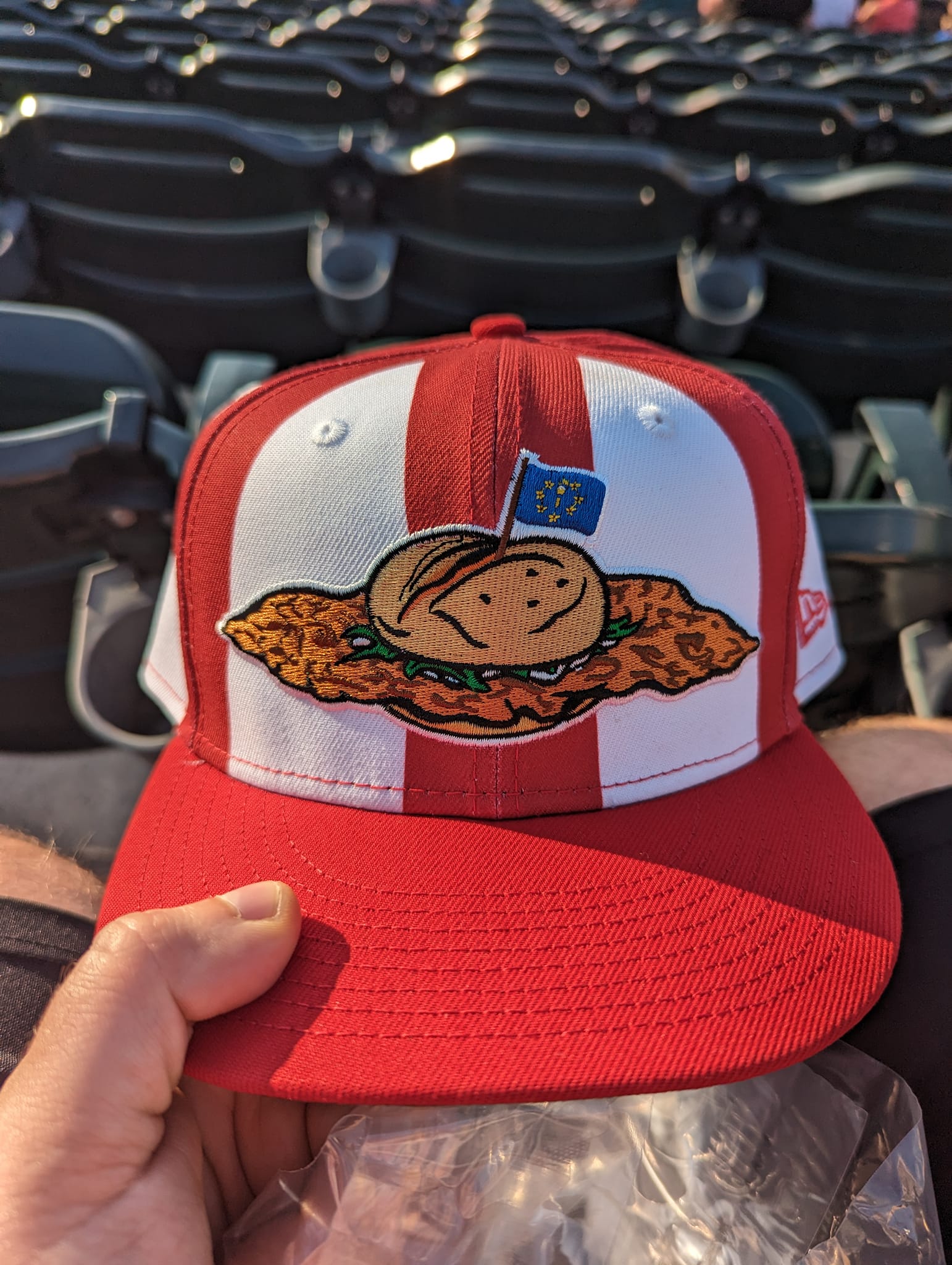 Fort Wayne TinCaps become Hoosier State Tenderloins