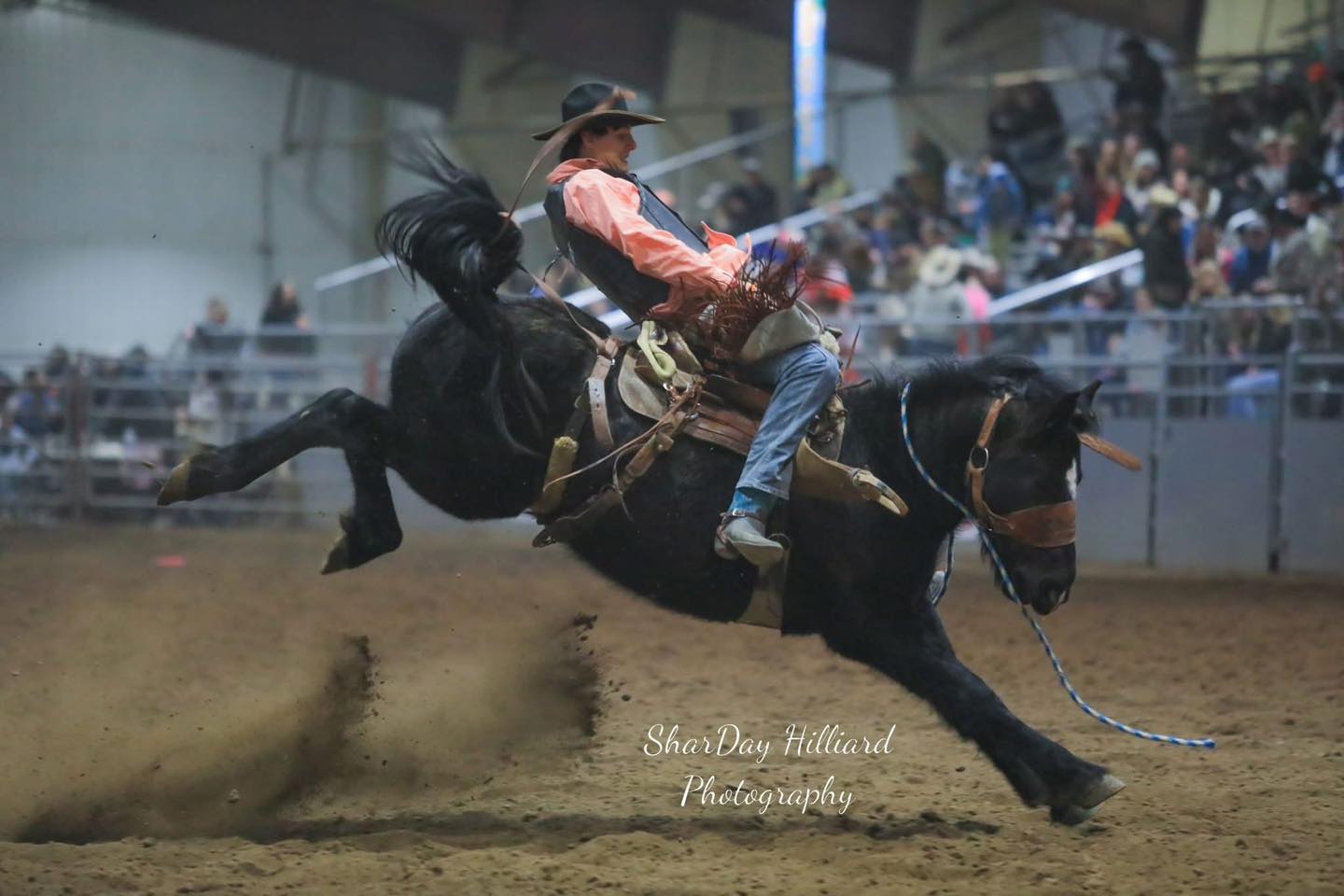 Brash Rodeo | Columbia Falls MT
