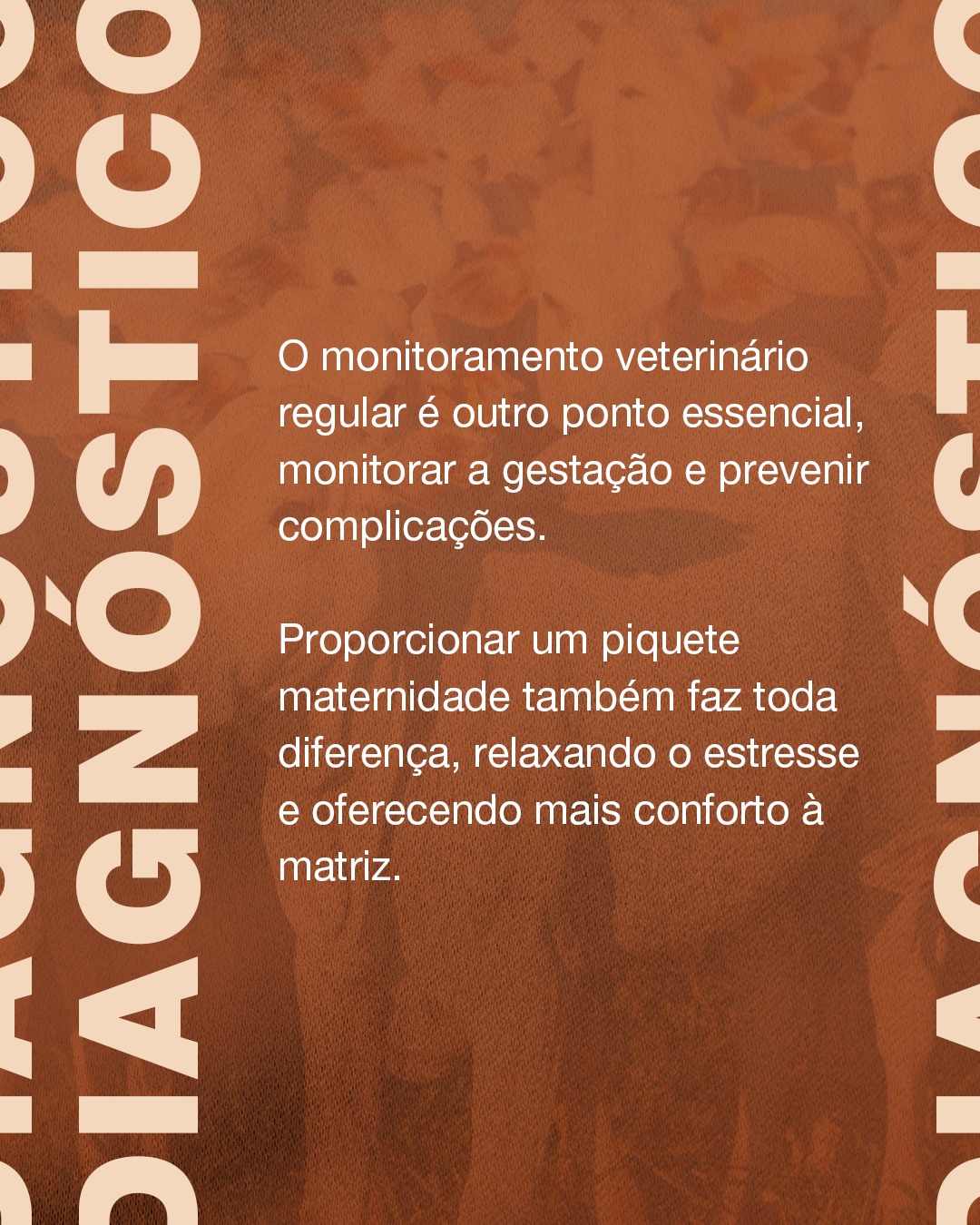 Grupo Apoio Genética - 💥 LANÇAMENTO APOIO GENÉTICA 💥 Acompanhe o ...