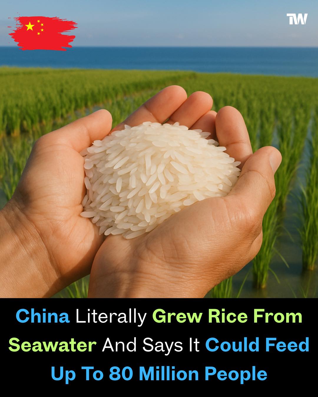 Techworm - 🌾 China Is Growing Rice Using Seawater? Here’s What’s Really ...