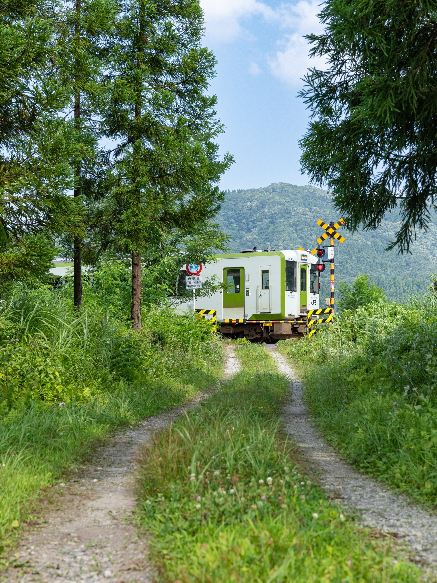 Japanese Trains - 日本列車