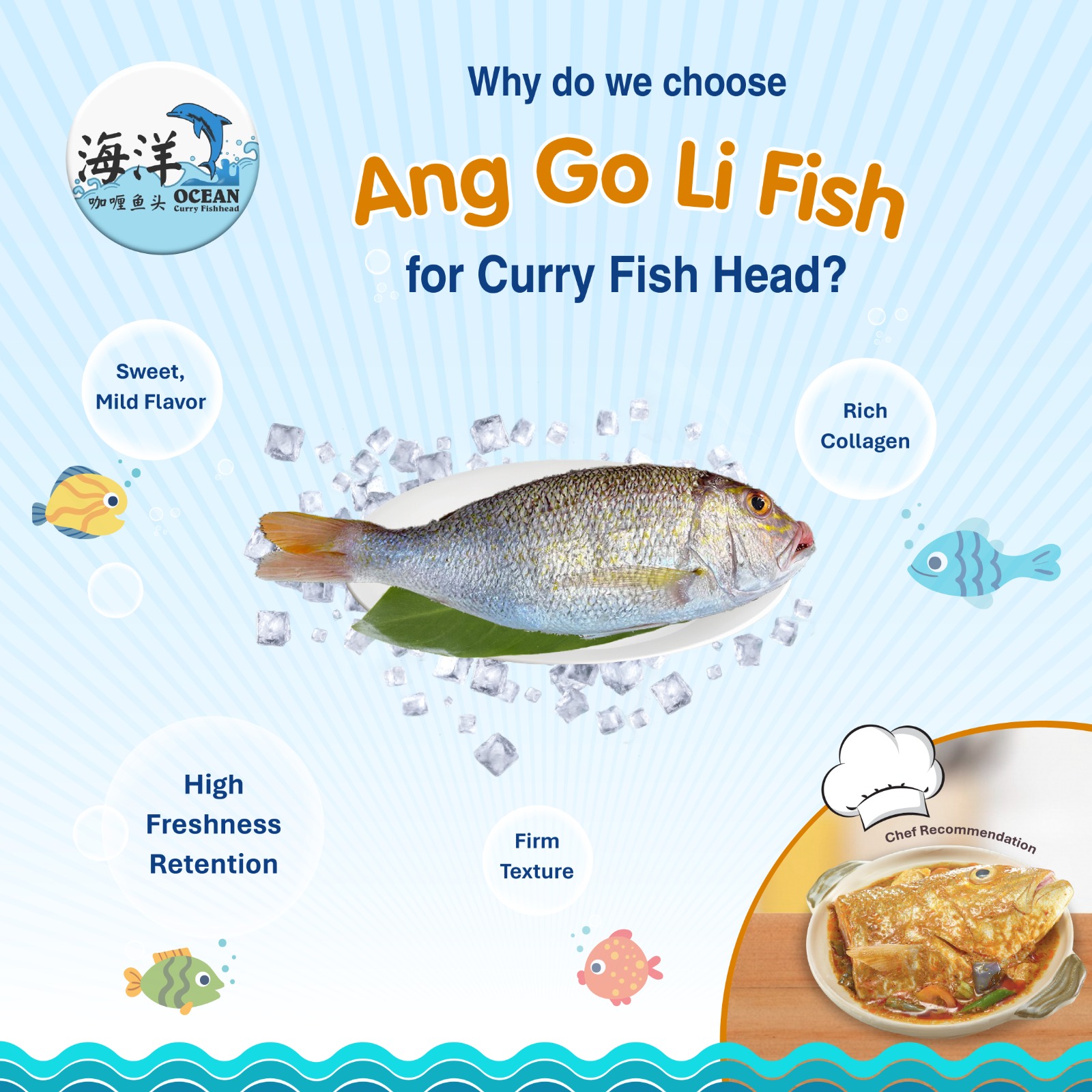Ocean Curry Fish Head | Singapore Singapore
