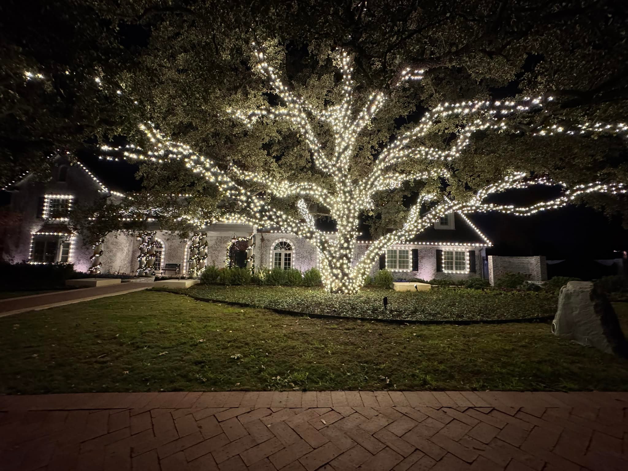 Window Rangers & Christmas Knights | Alvarado TX
