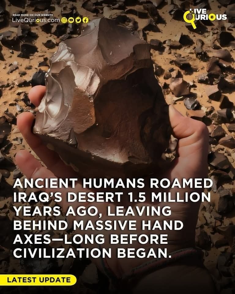 Live - 1.5-Million-Year-Old Hand Axes Unearthed in Iraq’s Western ...