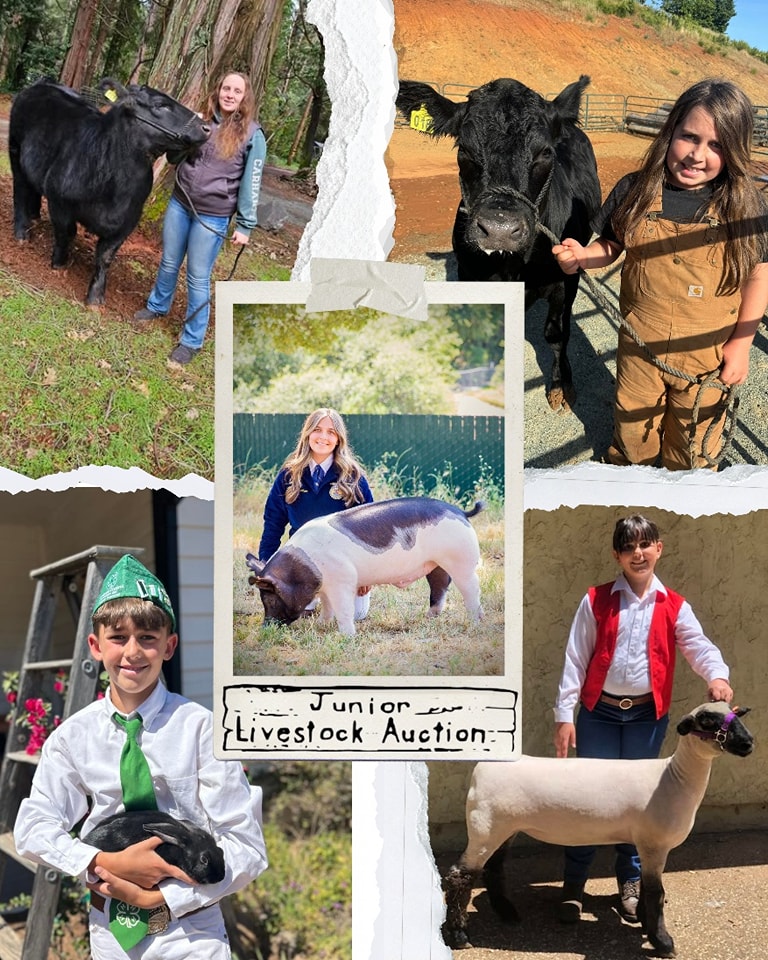 El Dorado County... - El Dorado County Fair & Event Center