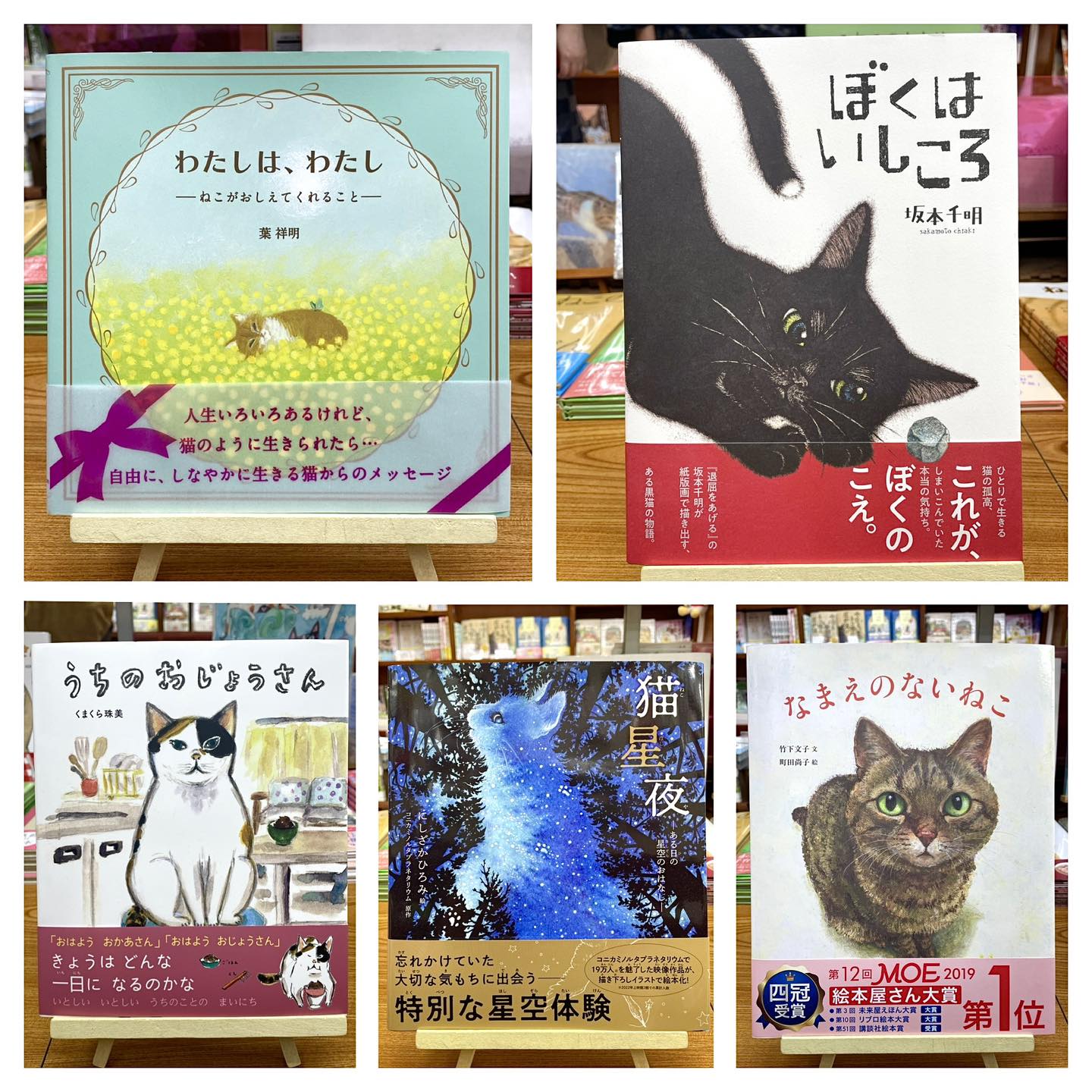 書棚デザイン＆格子猫デザイン “がまぐち財布” 入荷👛 個性的な柄です