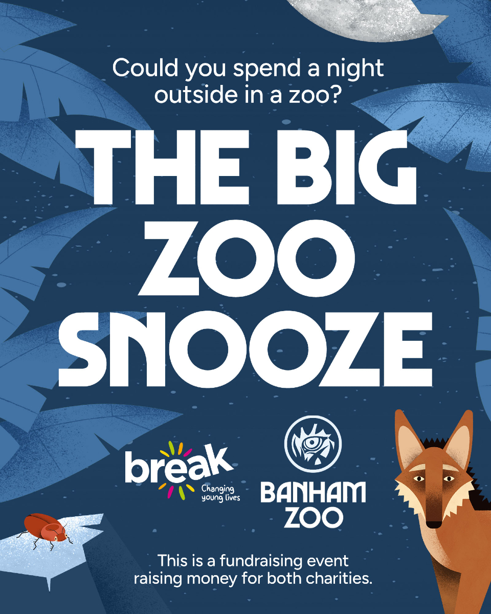 Gogosafari - 🌙🦒🐅 Ever wanted to spend a night in a zoo? 🐒🦩🌙 Embrace ...