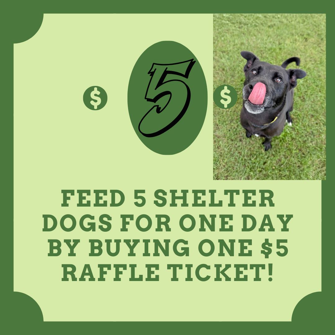 Humane - 🚨 Just $5 can feed FIVE shelter animals for an entire day! 🐾💚 ...