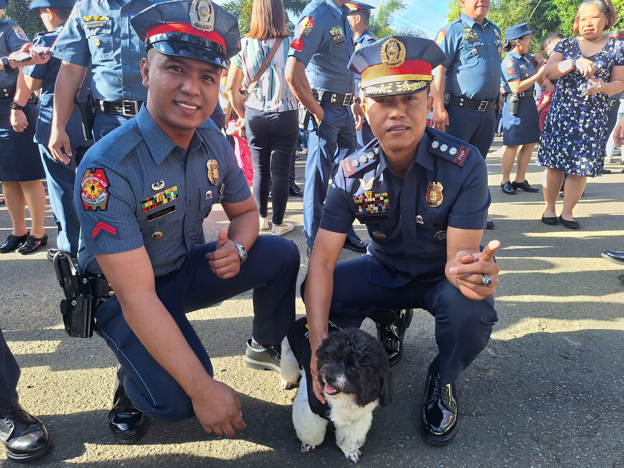 News5 - Kinaaliwan ng netizens ang police dog na si 