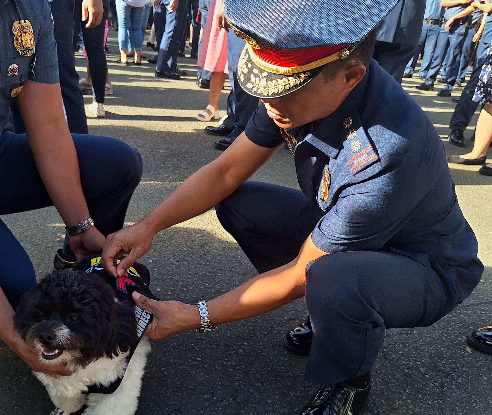 News5 - Kinaaliwan ng netizens ang police dog na si 