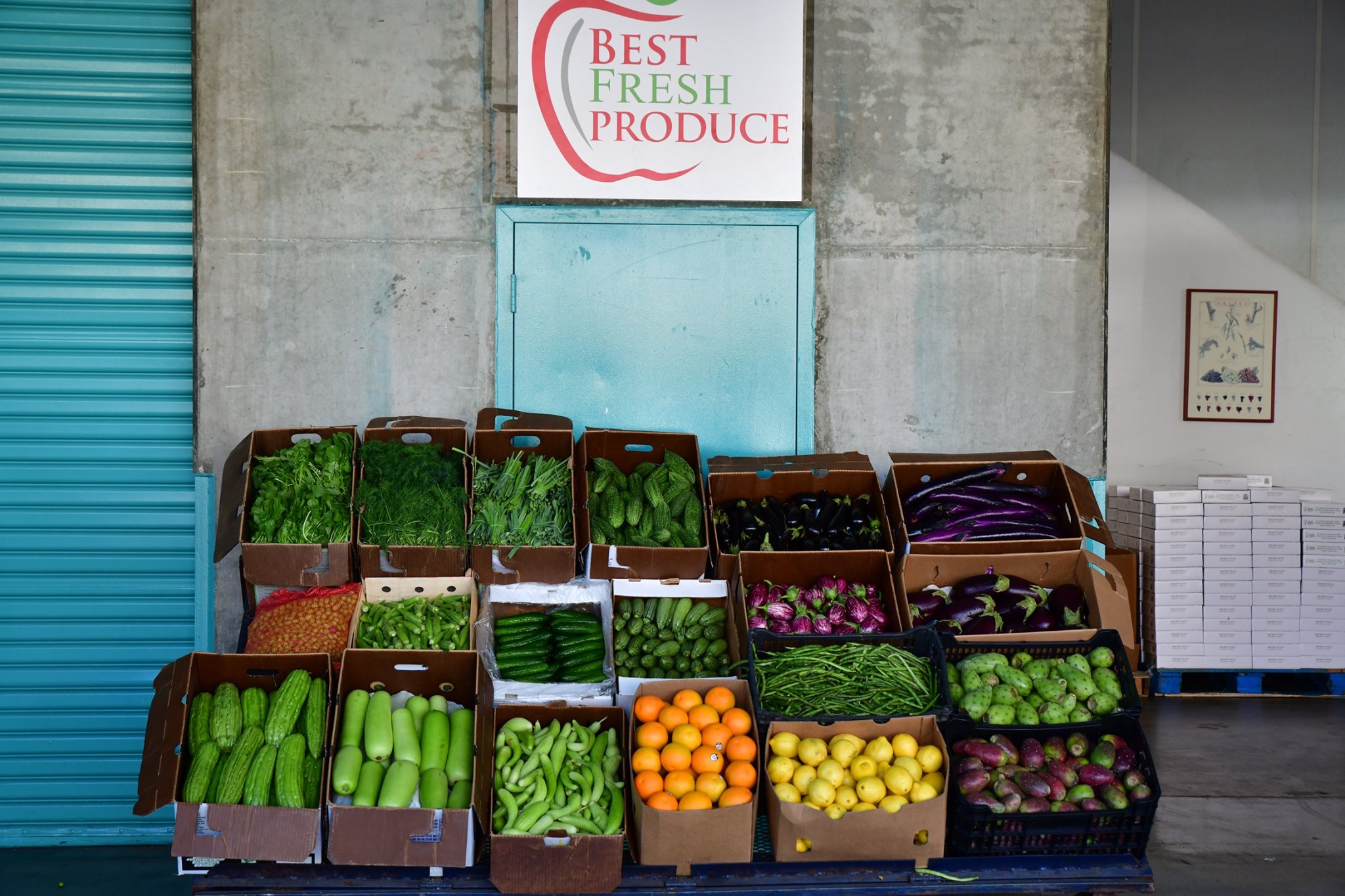 Best Fresh Produce - Wholesale | Los Angeles CA